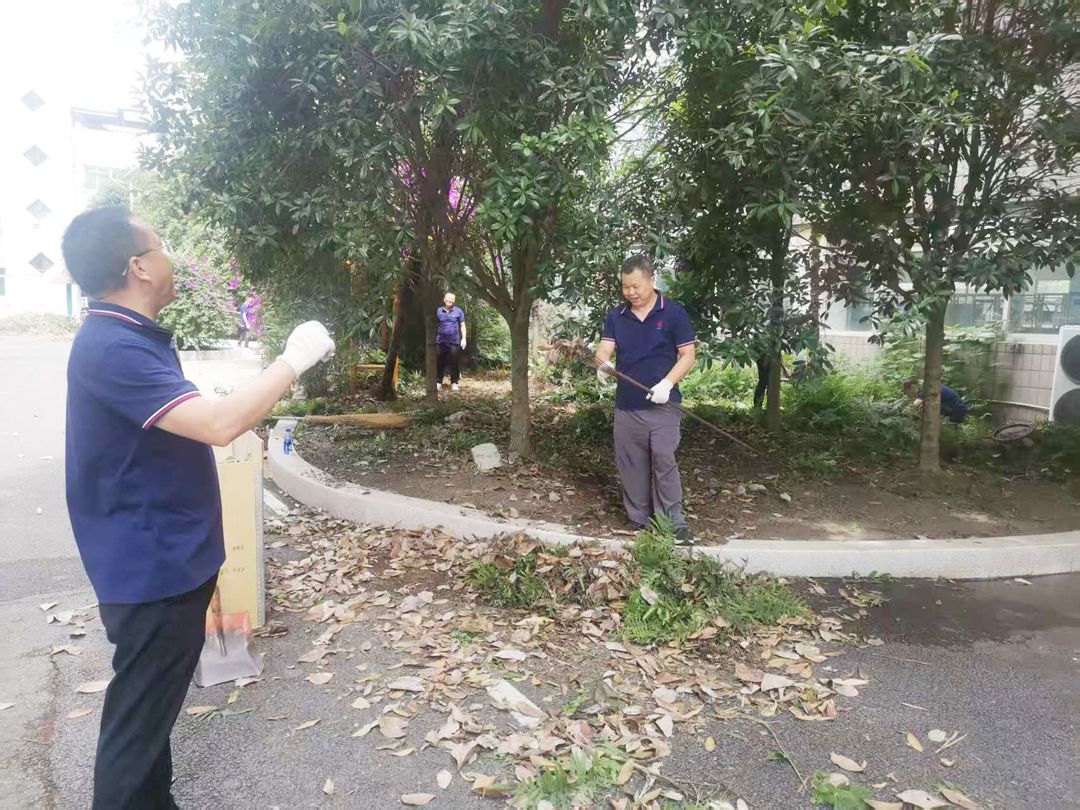 sunbet申搏官方网站党支部开展“助力唐昌镇‘五清行动’,绘就生态振兴新图景”主题党日活动