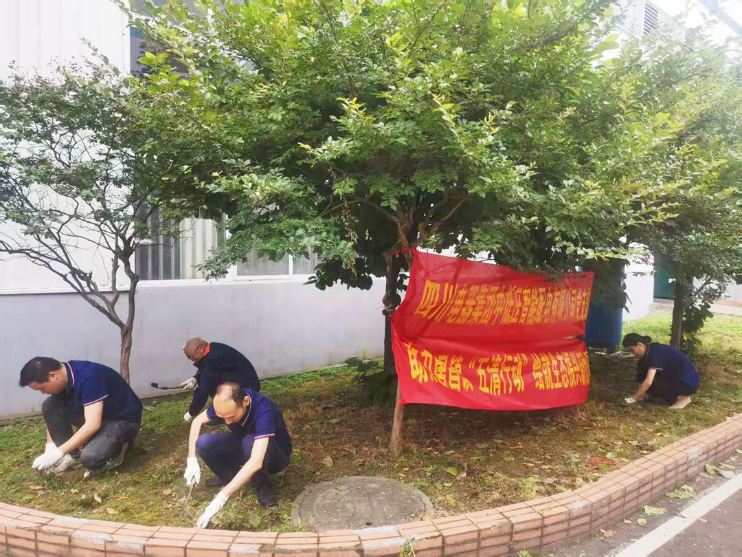 sunbet申搏官方网站党支部开展“助力唐昌镇‘五清行动’,绘就生态振兴新图景”主题党日活动