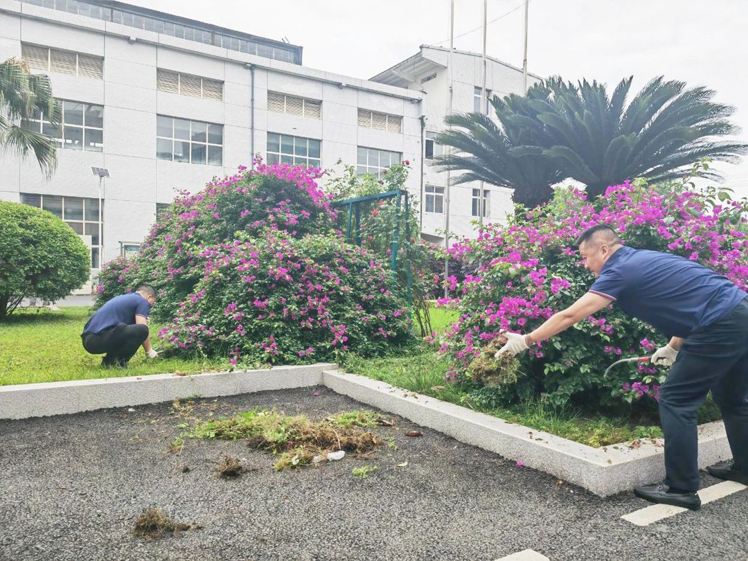sunbet申搏官方网站党支部开展“助力唐昌镇‘五清行动’,绘就生态振兴新图景”主题党日活动
